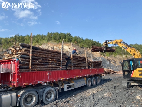 6米松木樁的作用有哪些?價格是多少?