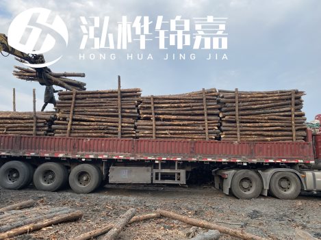 打樁木材為何首選松木?松木樁應該怎么打樁施工