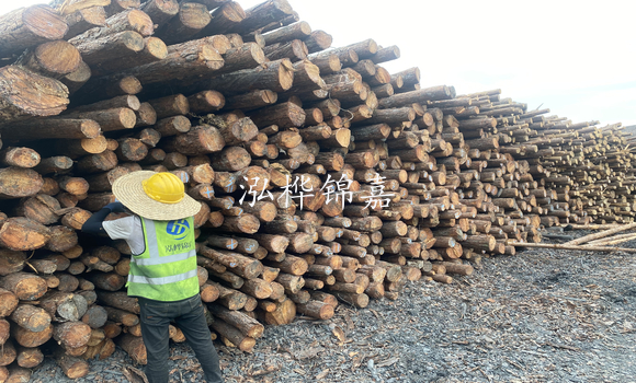 松木樁是什么,松木樁的用途有哪些-松木樁介紹