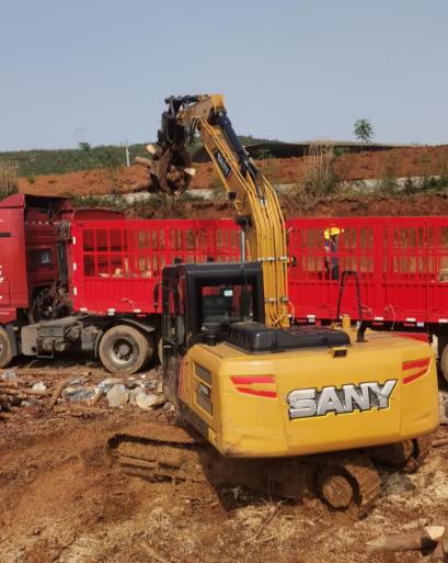 松木原木、松木條,漲勢(shì)如虹,現(xiàn)在搶購(gòu)最劃算(附松木原木供應(yīng)廠家介紹)