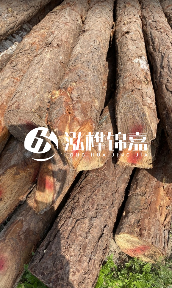 <strong>松木樁和杉木樁的用途區別？哪個更適合打樁用？</strong>