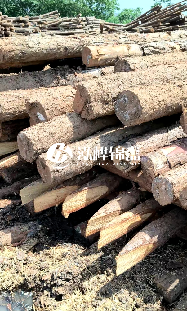 荊門挖機打木樁專業施工-河道打木樁前是否要清理河道底部雜物?