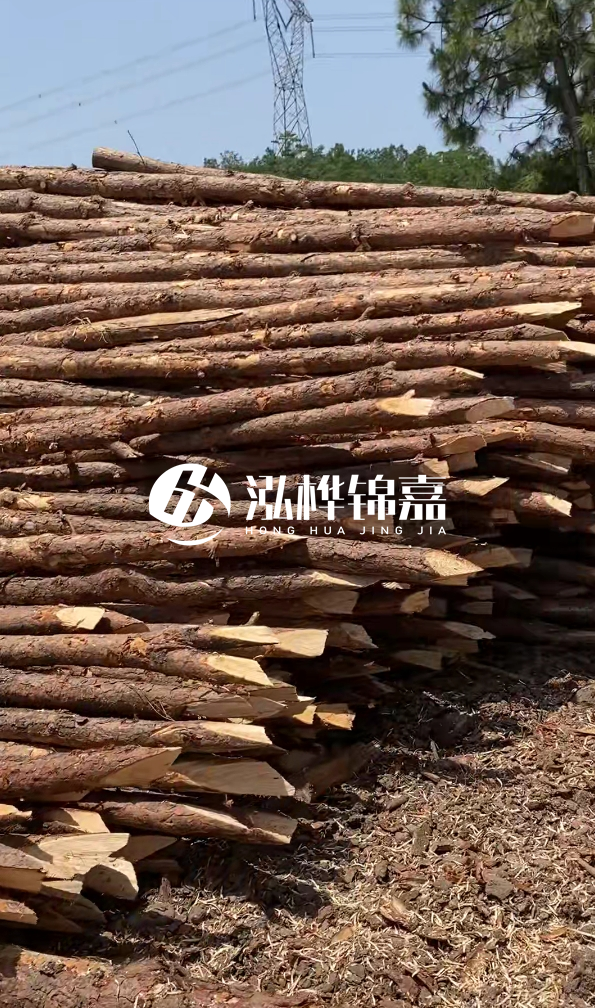 銅仁市挖機打木樁專業施工-河道松木樁水面需要預留多少?