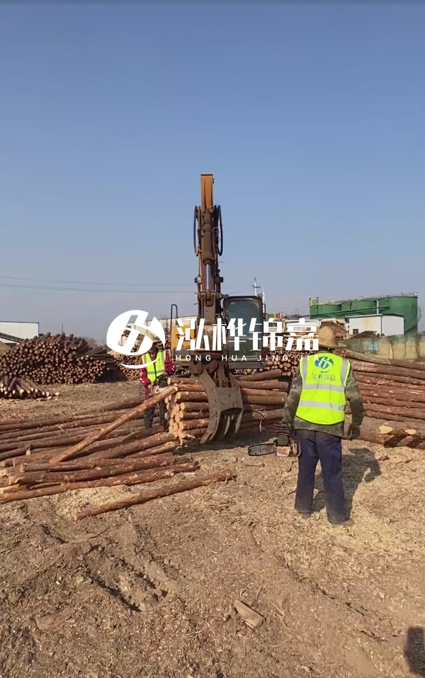 2025松木樁價格行情網 | 實時報價/廠家直供/工程采購指南(附價格走勢圖)