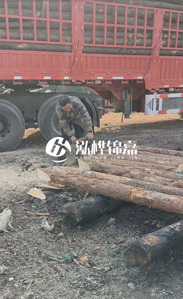 2米松木樁多少錢一根?15-20CM直徑價格是多少?