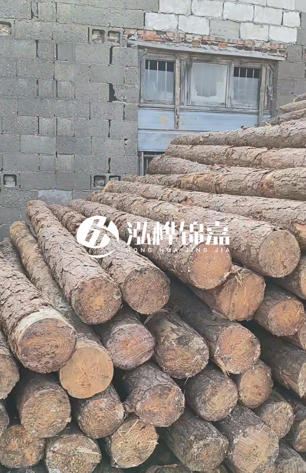 3米松木樁多少錢一根?14公分松木樁價(jià)格是多少?