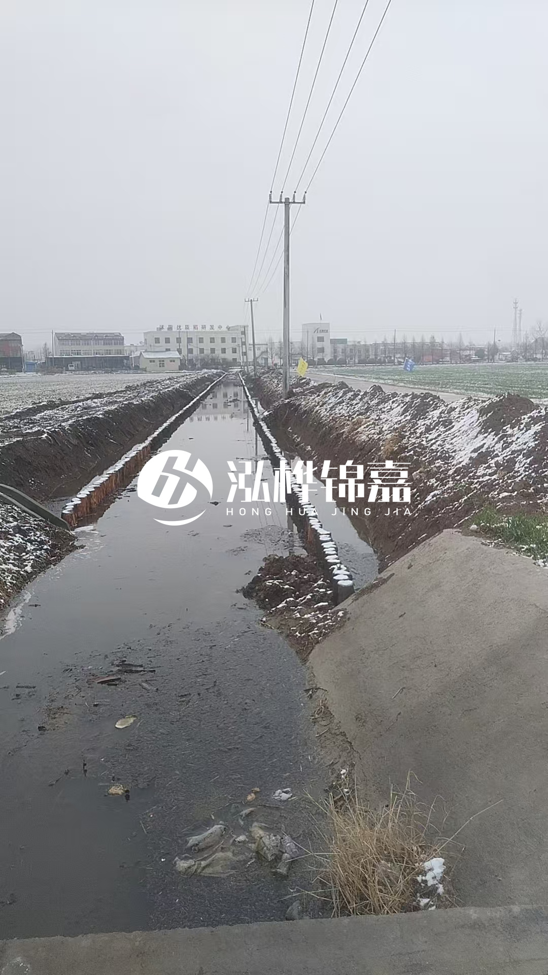 4米松木樁和杉木樁價格相差多少?哪個更便宜?