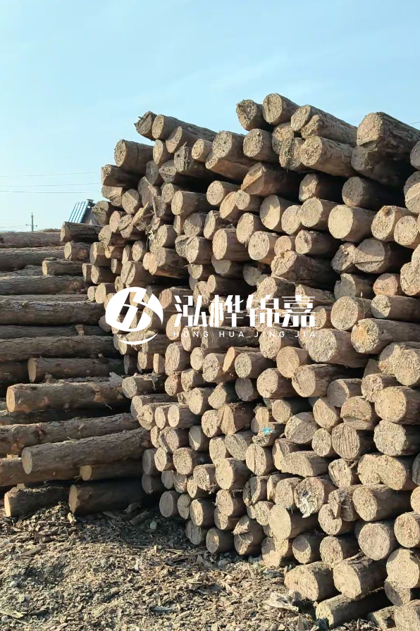 江西哪里有松木樁賣-4米12-14公分松木樁價格揭秘!