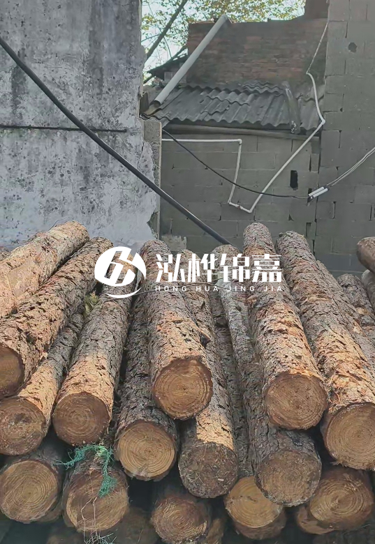 1.5米至2米長松木樁價格表-10-12公分大概多少錢一根？