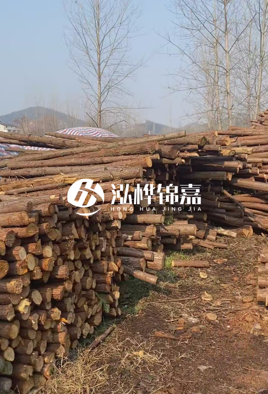 貴州打樁木材價格多少-打樁木材價格多少錢一立方？