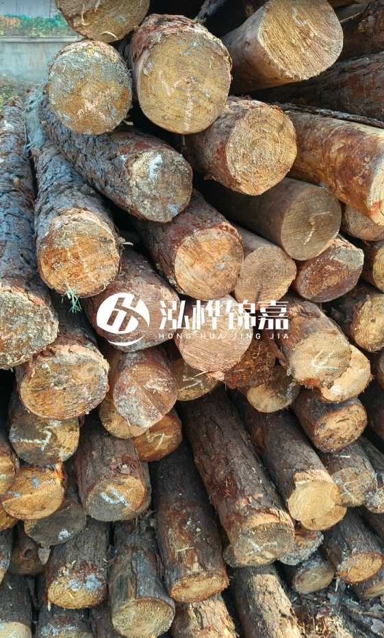 油松3米12公分多少錢一根？油松4米12公分多少錢一根？