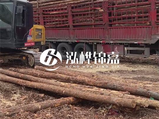 江西2米10-12松木樁多少錢一根？10-15公分價格又是多少？