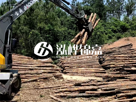 3米松木樁小頭10公分多少錢一根？大頭10公分又是多少錢？