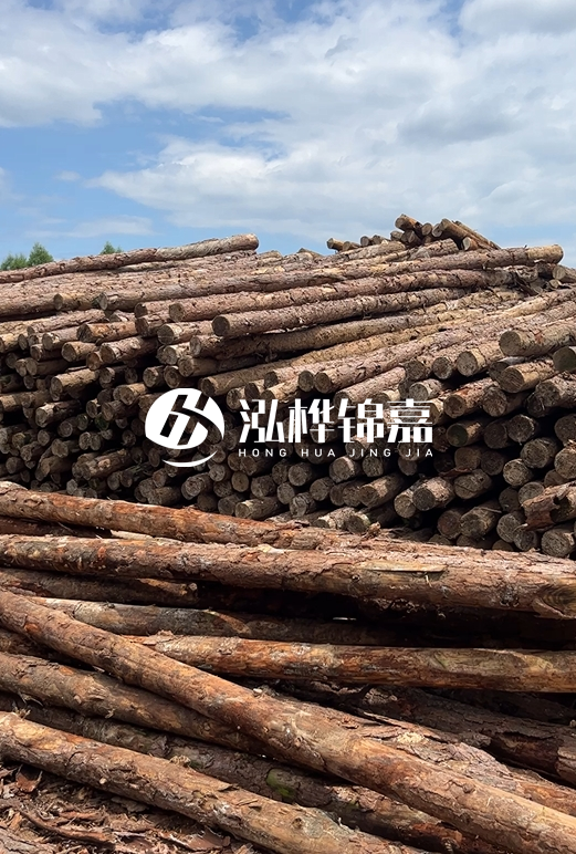福建松木樁源頭廠家泓樺錦嘉-4.5米松木樁大頭15CM多少錢？