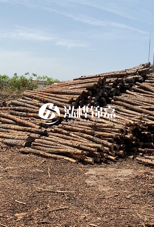 3.5米松木樁單價含稅怎么計算？碳化處理成本增加多少？