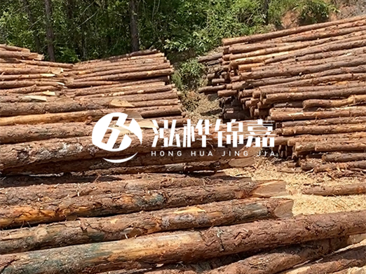 松木樁的運(yùn)輸費(fèi)用是否包含卸車費(fèi)？卸貨時需要注意哪些安全問題？