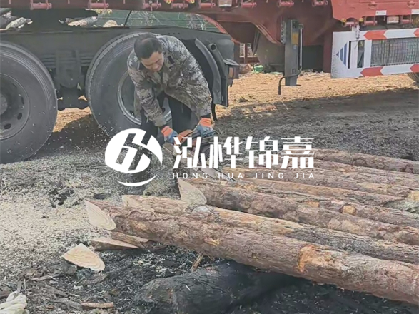 松木圓木價格大概多少一方-松木樁廠家按方可以賣嗎？