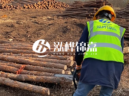 哪些木樁廠家能提供快速定制服務(wù)？哪些木樁廠家在國內(nèi)有多個生產(chǎn)基地？