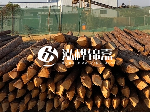 松木樁6米15cm打樁多少錢一根-專業(yè)打木樁隊聯(lián)系電話？