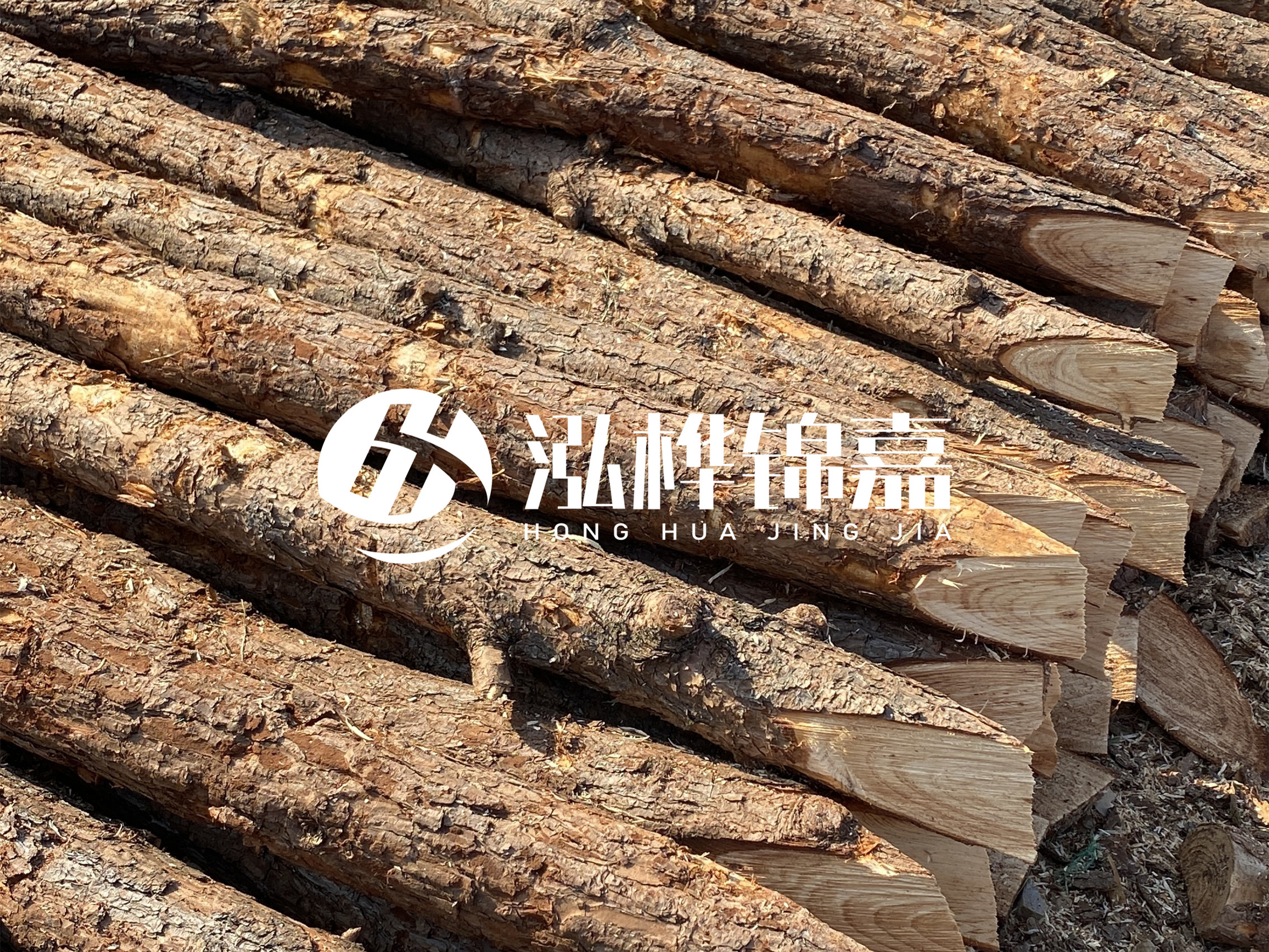 8 米超大直徑松木樁的價格是多少？帶皮和去皮松木樁價格差多少？