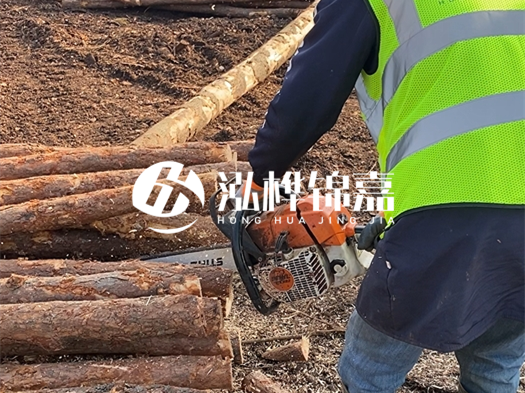 河道打木樁多少錢一根?5米直徑10松木樁打樁多少錢?