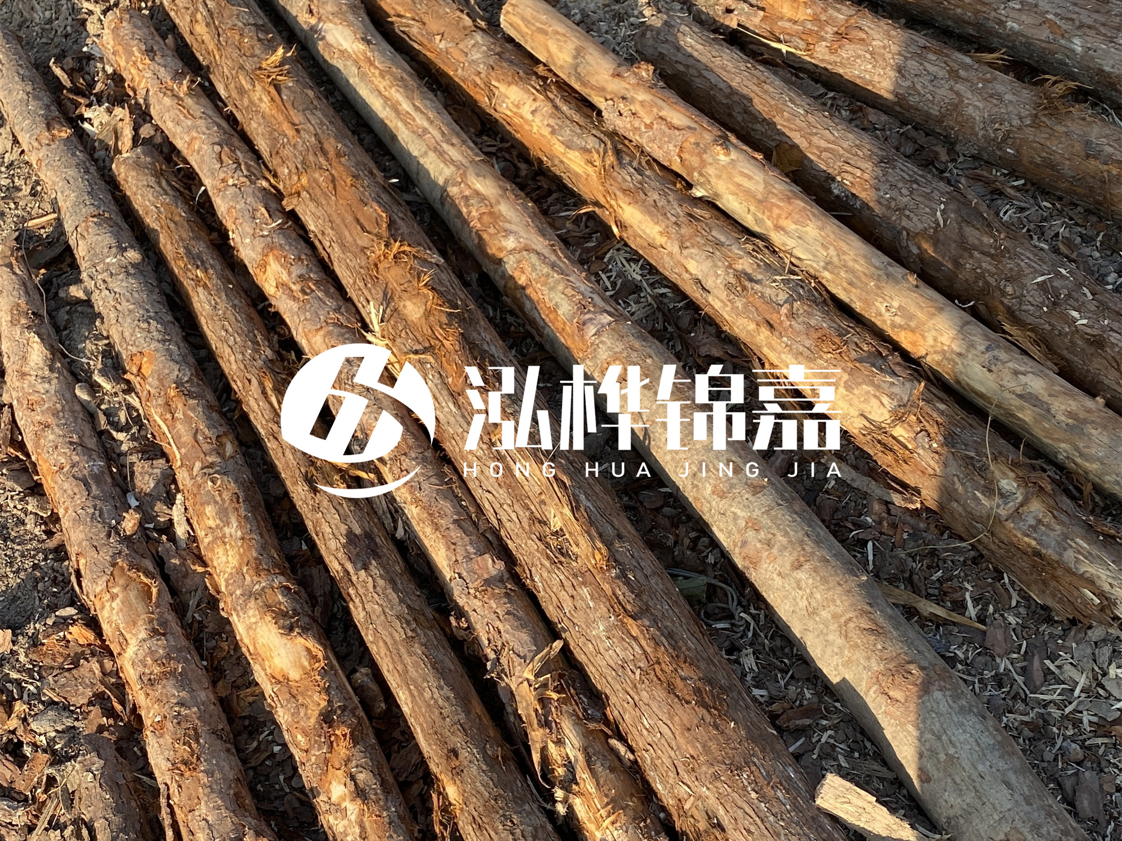 河道木樁多少錢(qián)一根?河道木樁的使用以及保養(yǎng)方法?