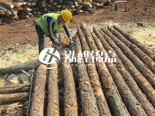 松木樁批發(fā)廠家泓樺錦嘉-河道打樁木施工中怎么防止樁頭被打壞?
