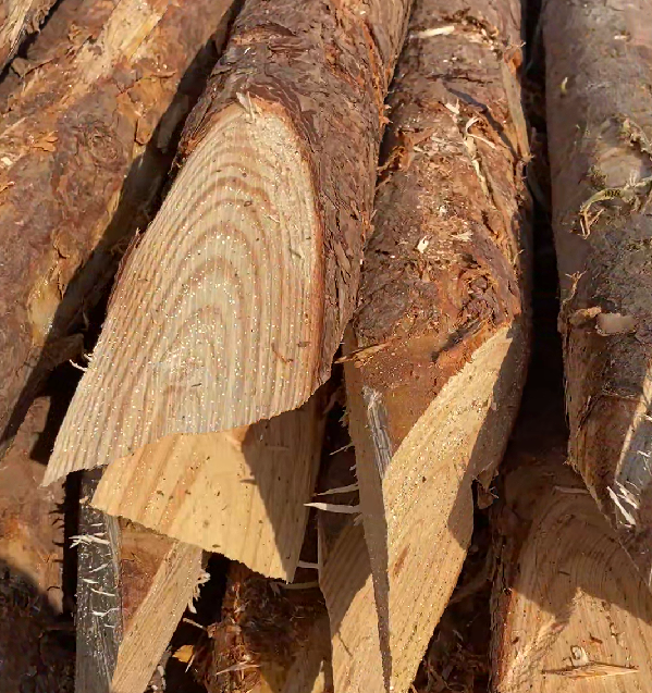 松木樁施工隊泓樺錦嘉 - 原木松木樁的最低起訂量是多少?