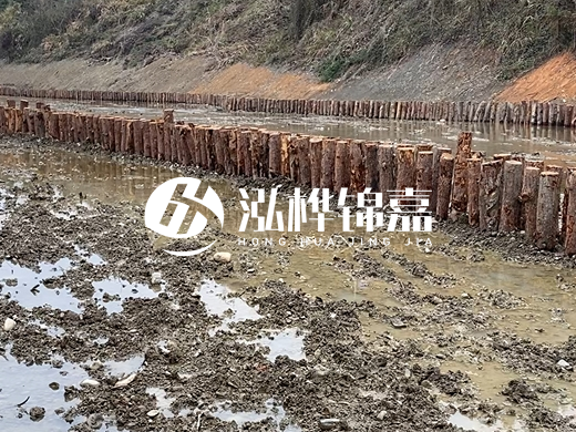 松木樁施工隊(duì)泓樺錦嘉 - 河道打松木樁施工流程?