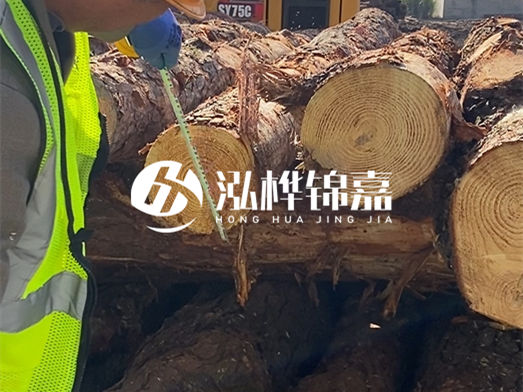 濕地松與油松木樁差別在哪？河道工程該怎么選