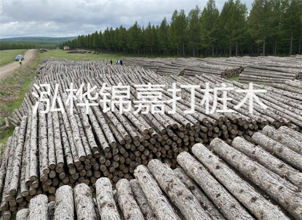 河道打木樁施工方案怎么寫,河道打木樁施工方案范本