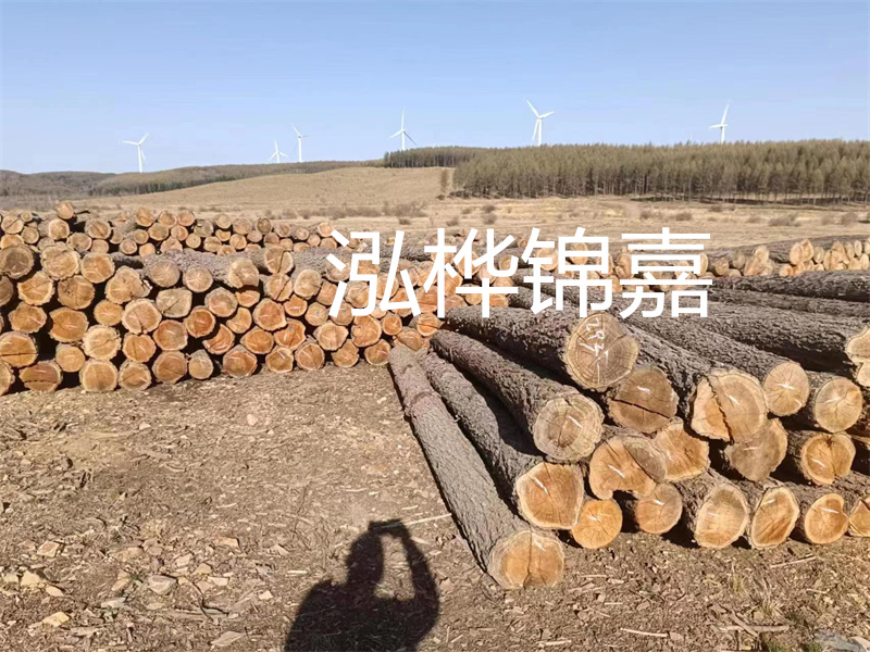 河道治理與生態修復施工方案