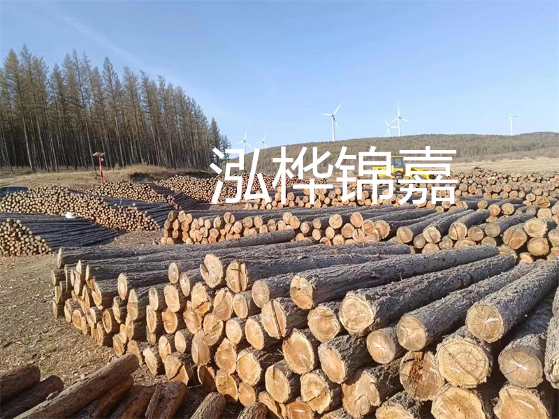 泡桐木與松木家具的優缺點